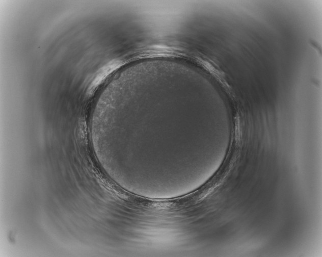 X0000102041453200808151355