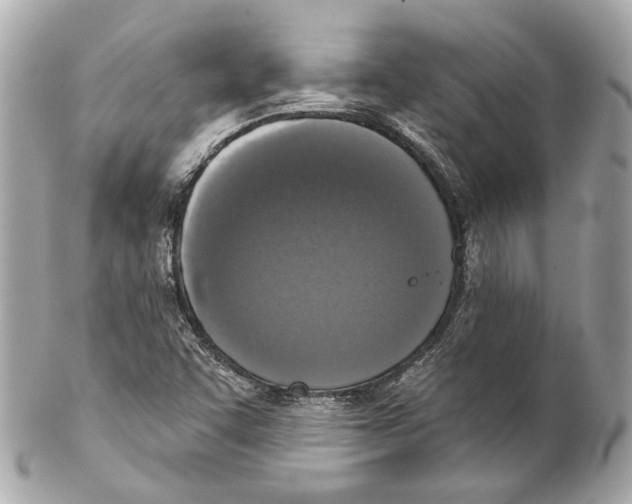 X0000102041455200808151355