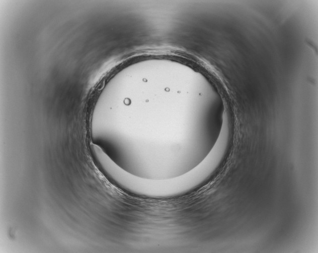 X0000102041456200808151355