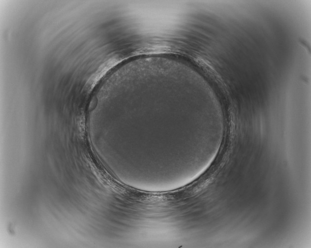 X0000102041457200808151355