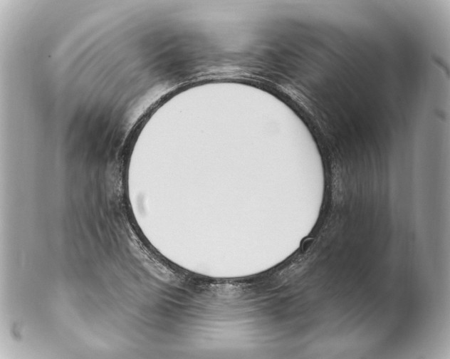 X0000102041458200808151355