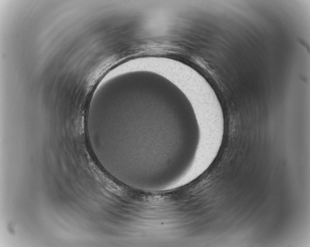 X0000102041459200808151355