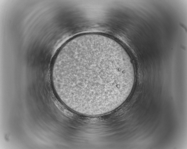 X0000102041460200808151355