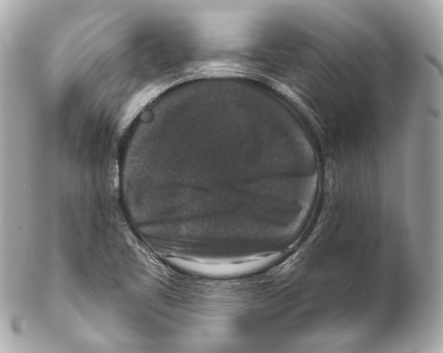 X0000102041461200808151355