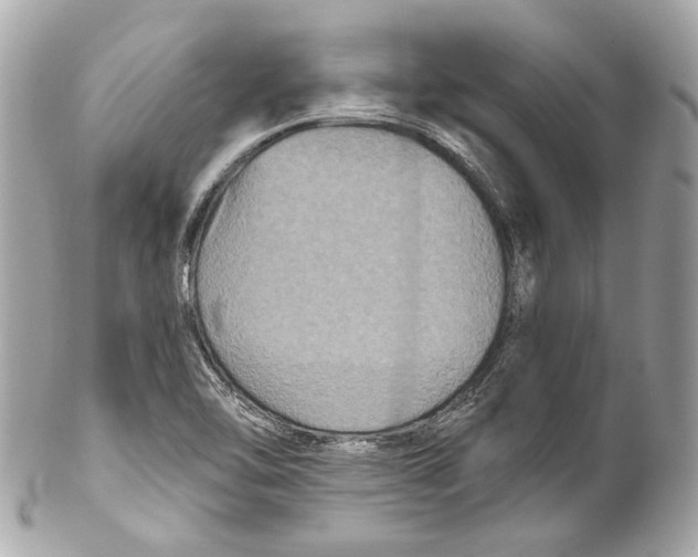 X0000102041462200808151355