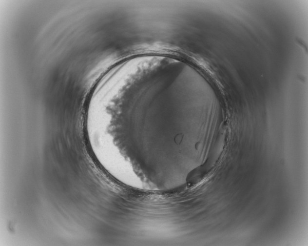 X0000102041463200808151355