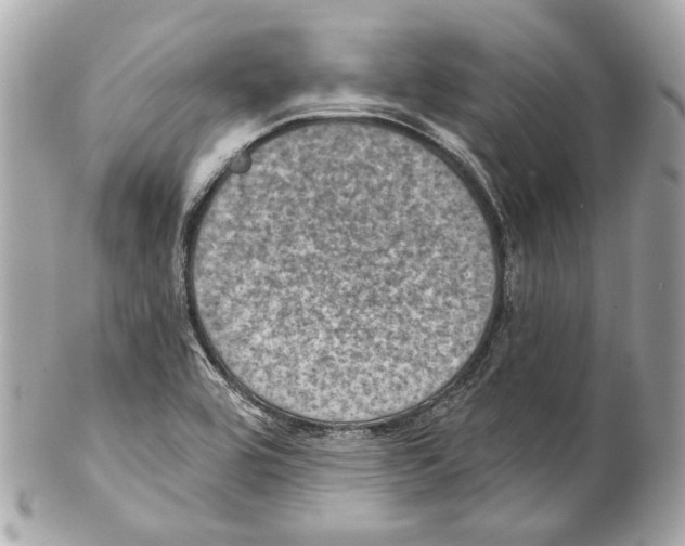 X0000102041464200808151355