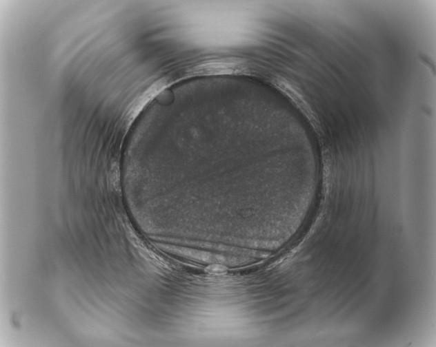 X0000102041465200808151355