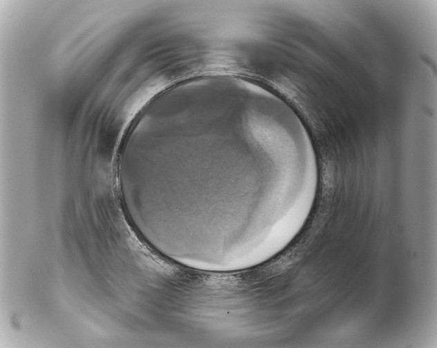 X0000102041466200808151355