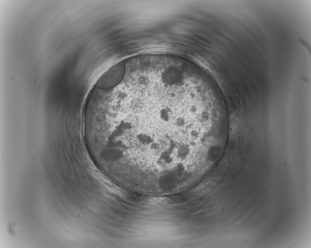 X0000102041467200808151355