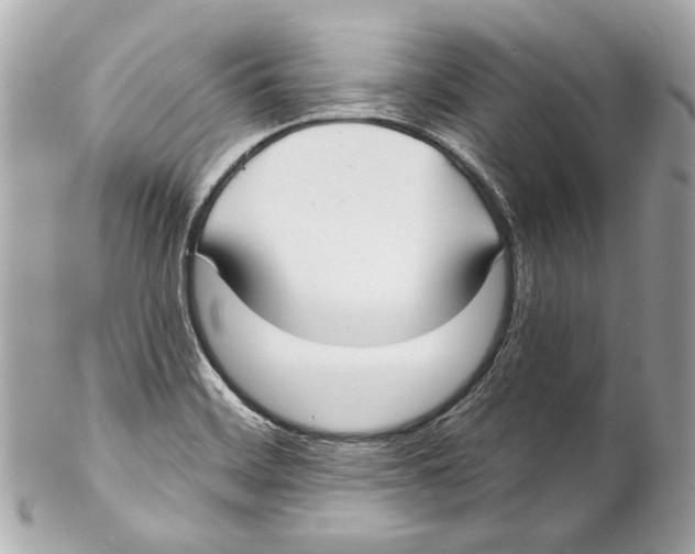 X0000102041468200808151355