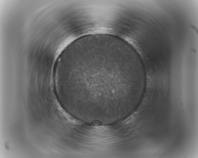 X0000102041469200808151355