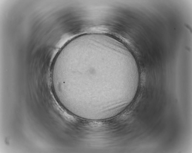 X0000102041470200808151355