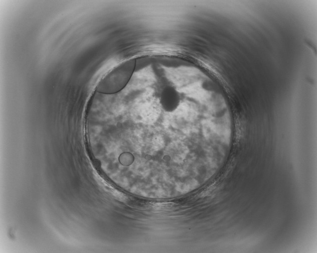 X0000102041471200808151355