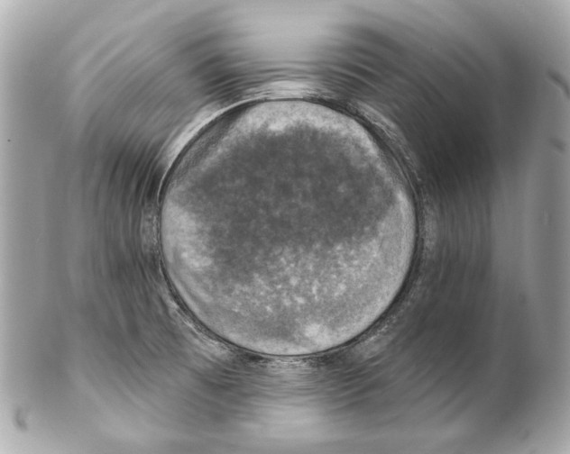 X0000102041473200808151355