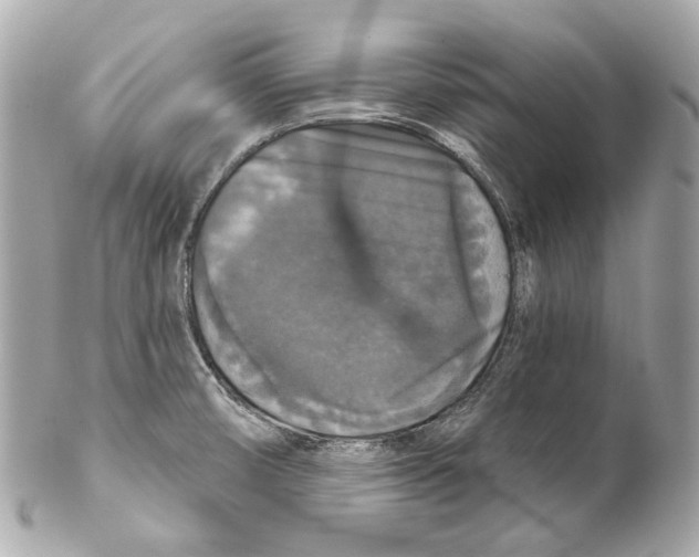 X0000102041474200808151355