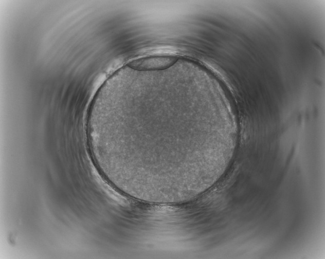 X0000102041475200808151355