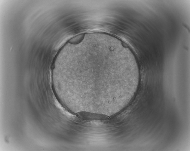 X0000102041476200808151355