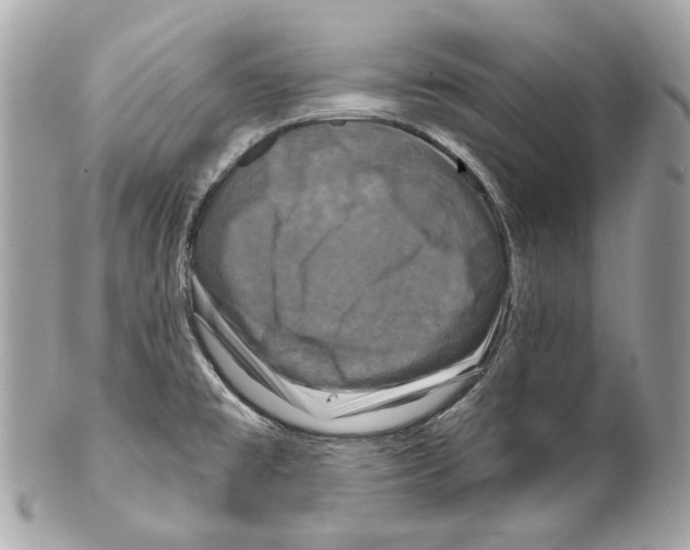 X0000102041477200808151355