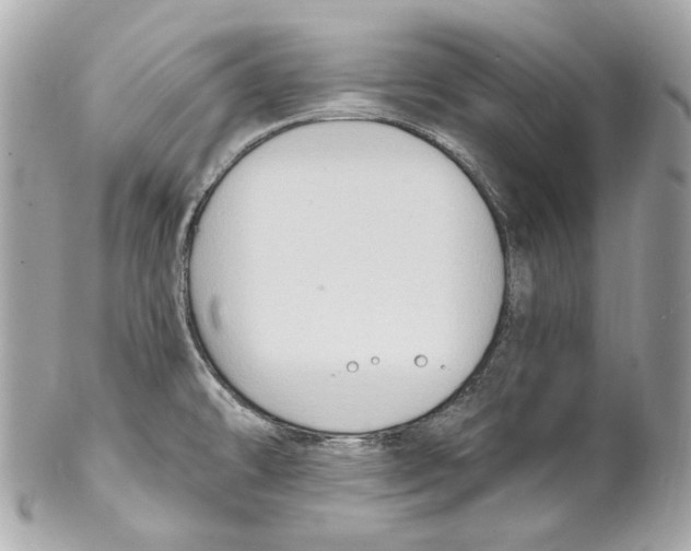 X0000102041478200808151355