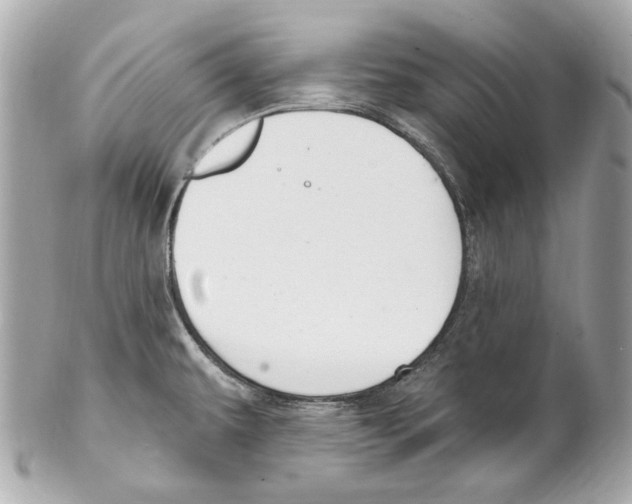 X0000102041479200808151355