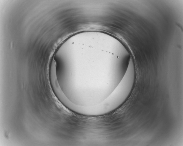 X0000102041480200808151355