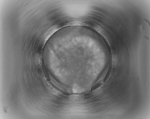 X0000102041481200808151355