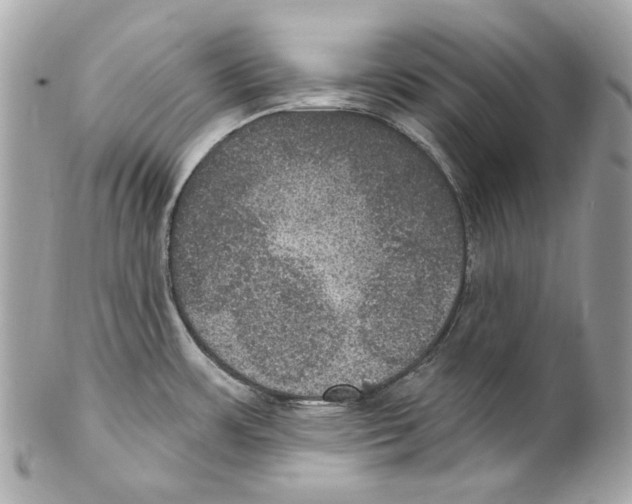 X0000102041483200808151355