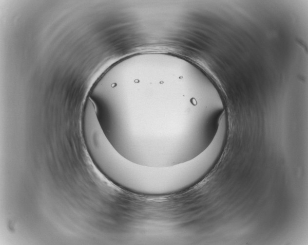 X0000102041484200808151354