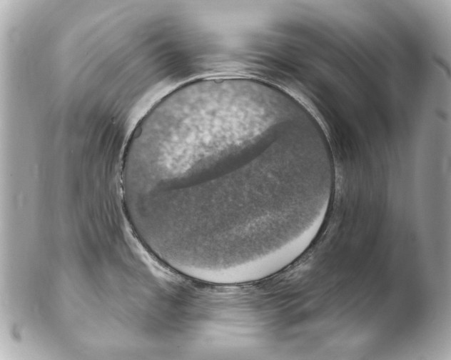 X0000102041485200808151354