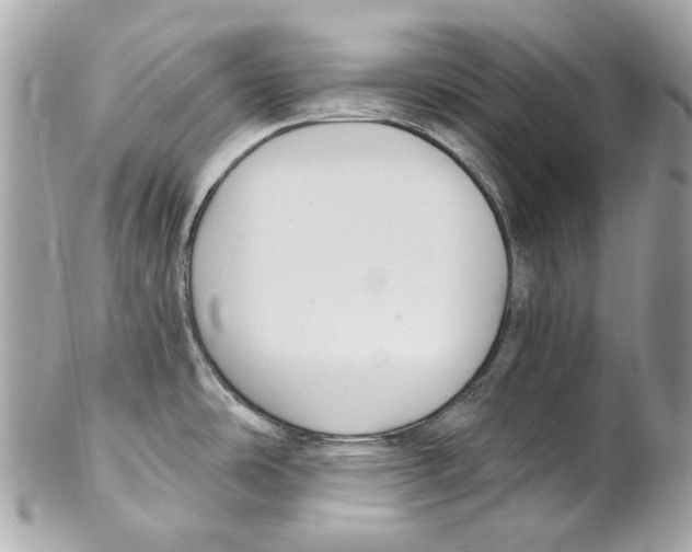 X0000102041486200808151354