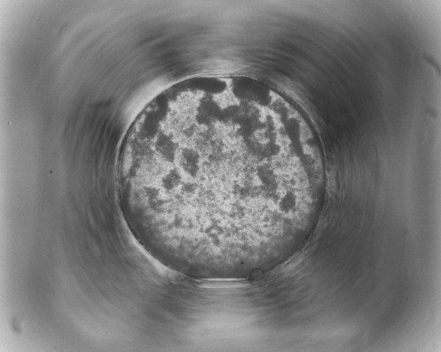 X0000102041487200808151354