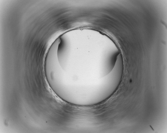 X0000102041488200808151354