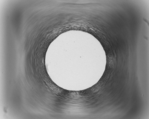 X0000102041489200808151354