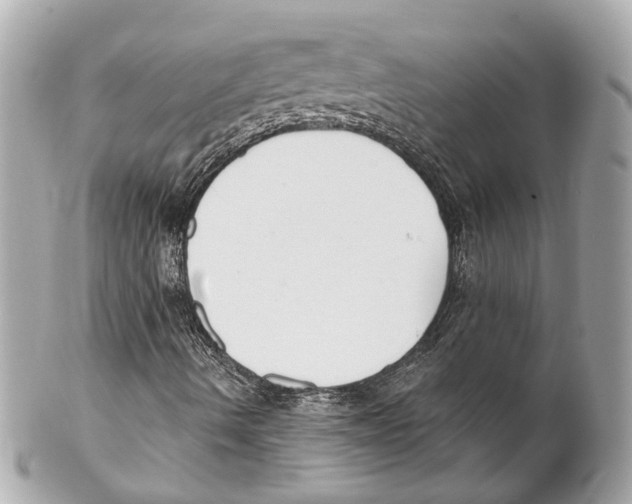 X0000102041490200808151354