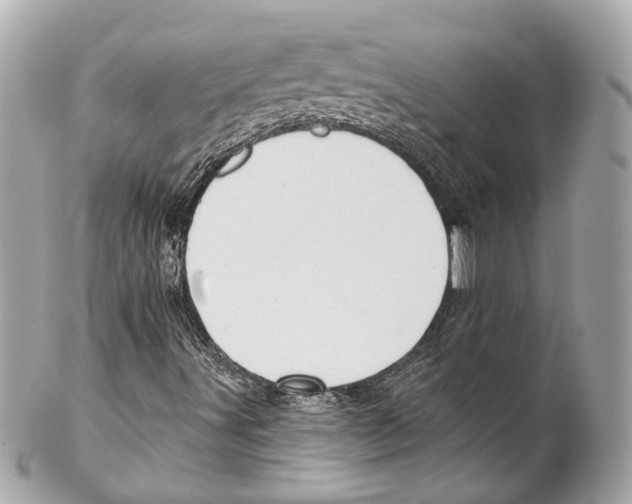 X0000102041491200808151354