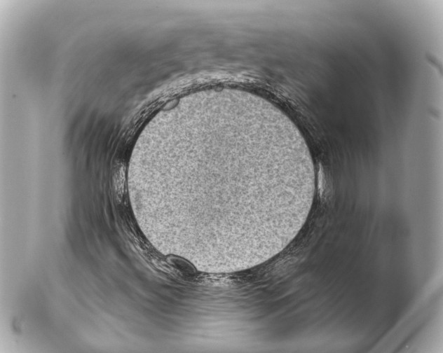 X0000102041492200808151354