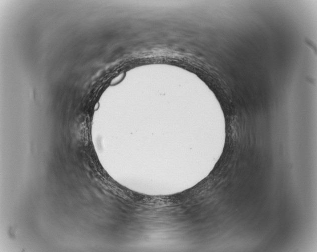 X0000102041493200808151354