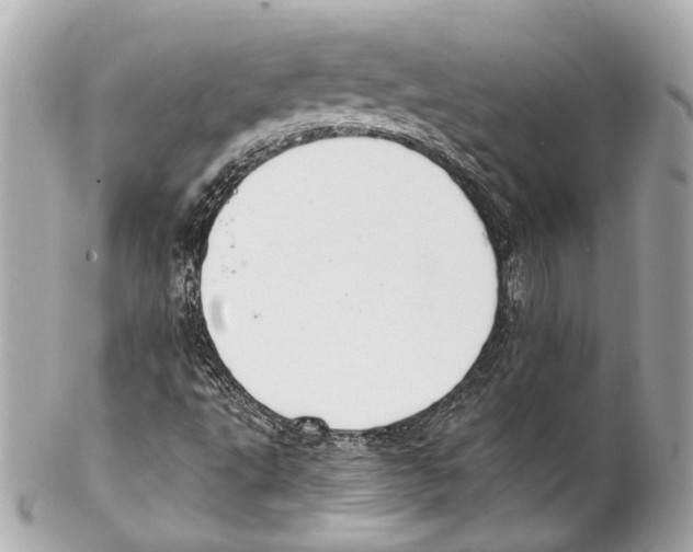 X0000102041495200808151354