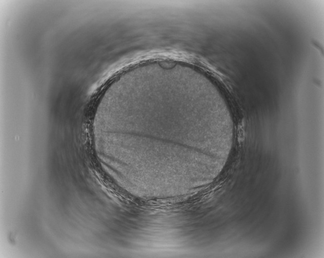 X0000102041496200808151354