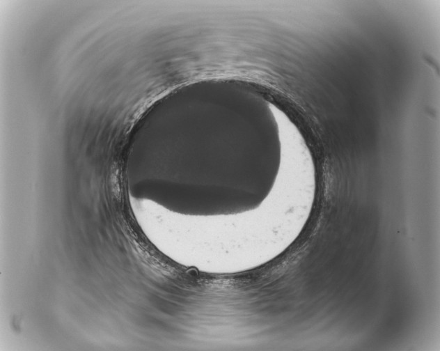 X0000102041497200808151354