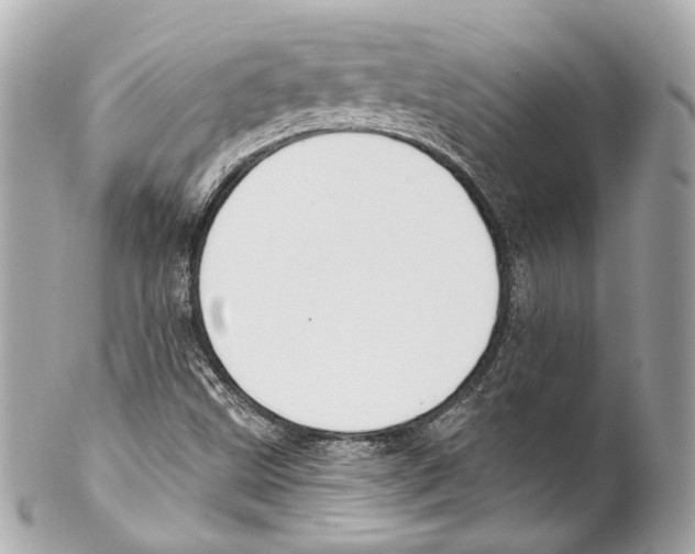 X0000102041499200808151354