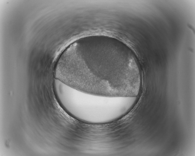 X0000102041500200808151354