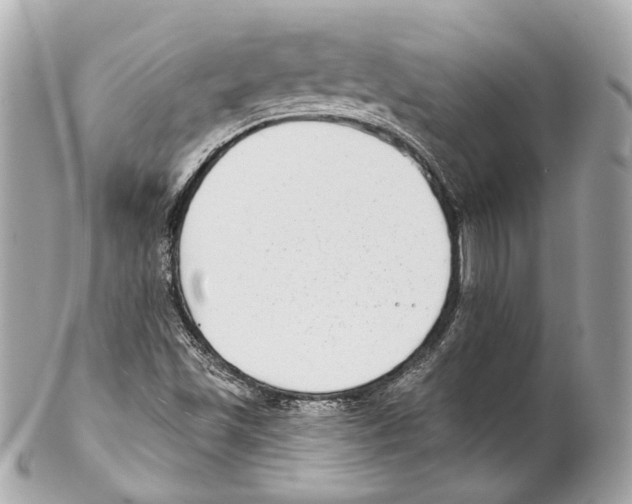 X0000102041501200808151354