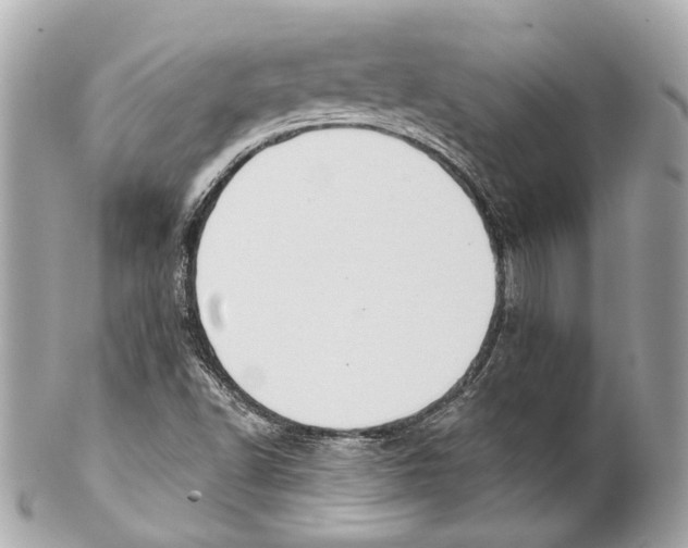 X0000102041502200808151354