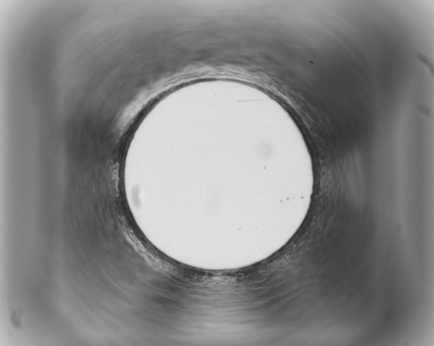 X0000102041503200808151354