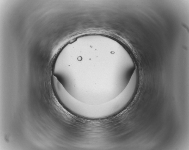 X0000102041504200808151354