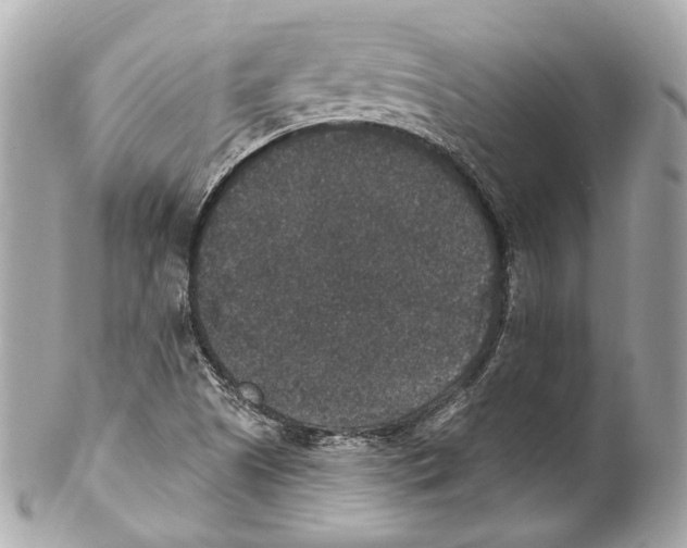 X0000102041505200808151354