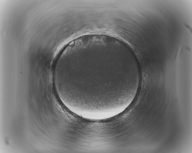 X0000102041506200808151354