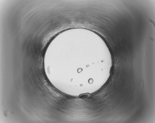 X0000102041507200808151354